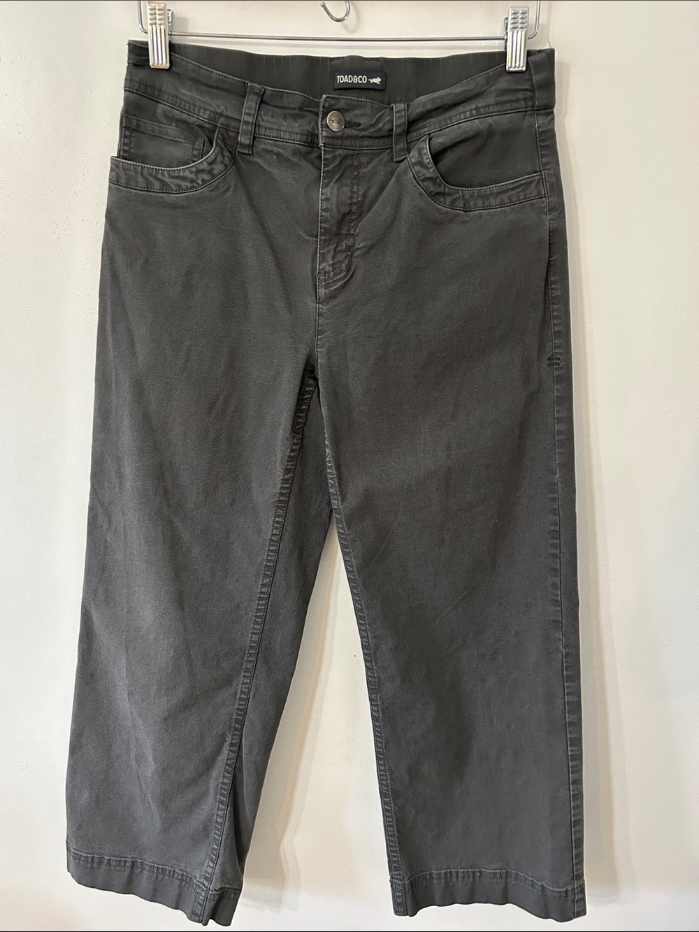 Toad&Co Women's Earthworks Wide Leg Pants Size 8 Charcoal Outdoor Gorpcore